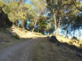 /album/photo-gallery-photogallery/the-walk-up-rute-alte-above-rute-jpg/